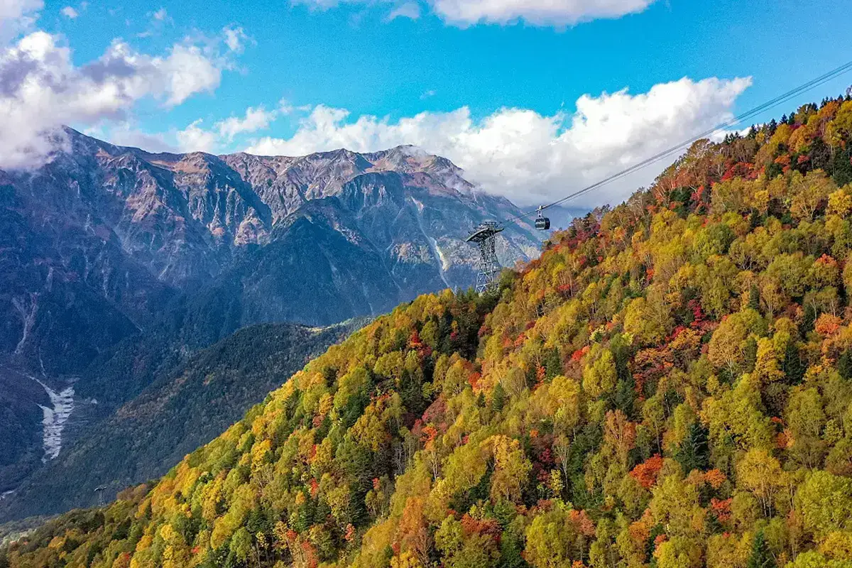 Cable car above a forested autumn mountainside